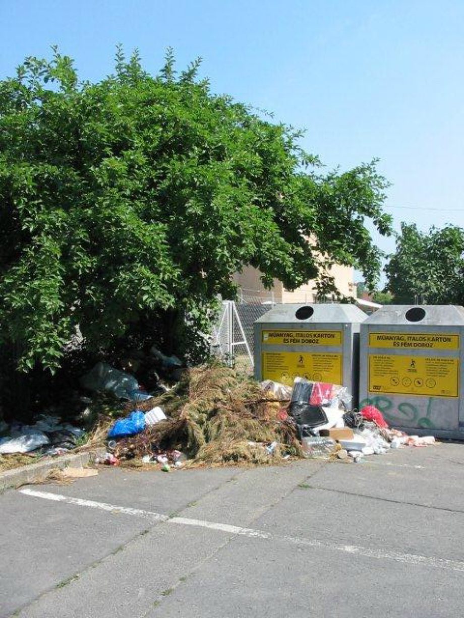 9421-terdig-ero-gaz-ures-viragtartok-szemet-miskolc-az-elhetobb-varos-01