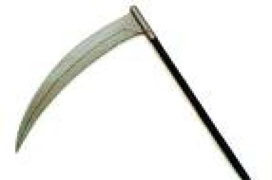 9875-elmeszeltek-a-kaszast