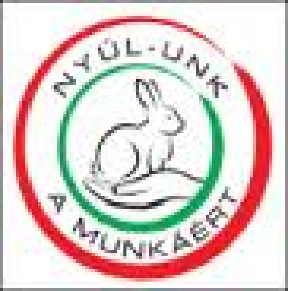 9911-nyulunk-a-munkaert