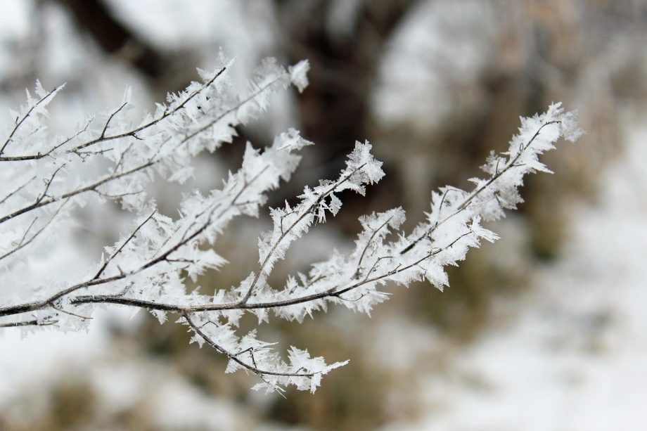 A fagyok és a szárazság együtt nagyon odaütött a gazdáknak - illusztráció (KRPR.hu)