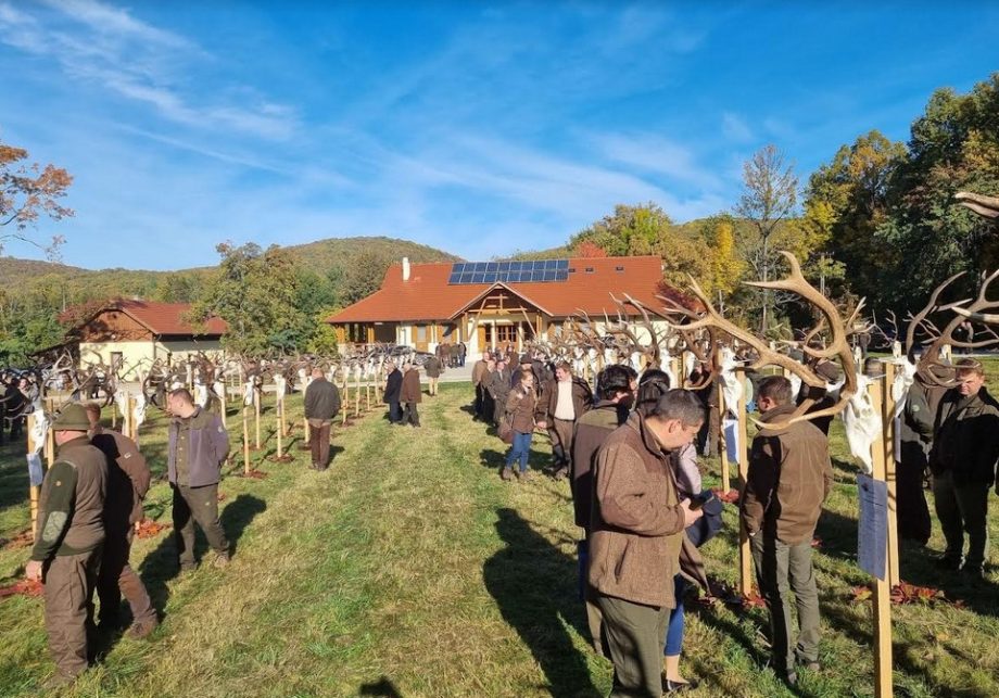 Képernyőkép 2022-10-27 185927