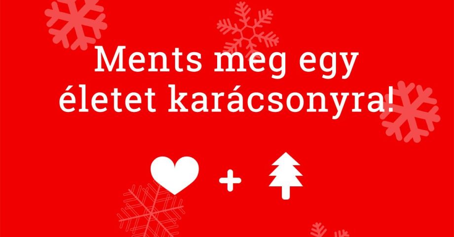 MG5KtTYQ