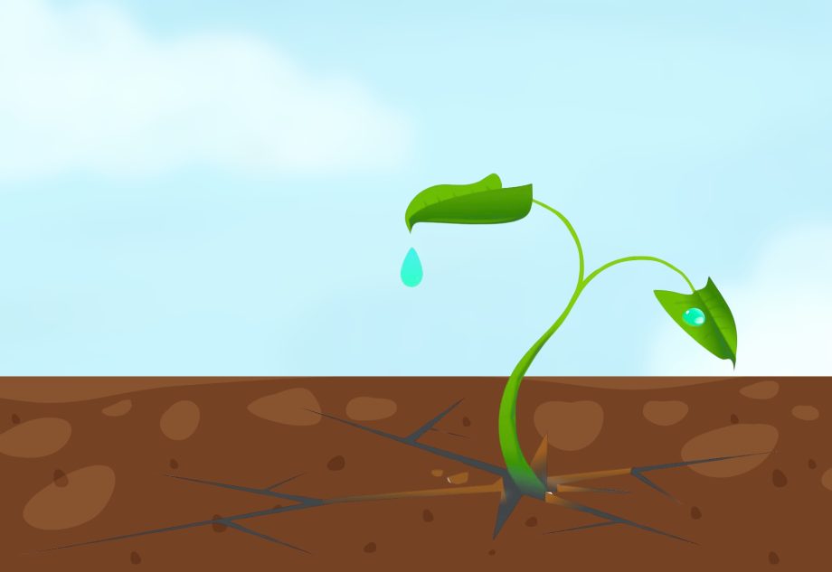 Terméskieséshez vezethet, ha a gazdák túl takarékos üzemmódra váltanak - illusztráció (KRPR.hu)