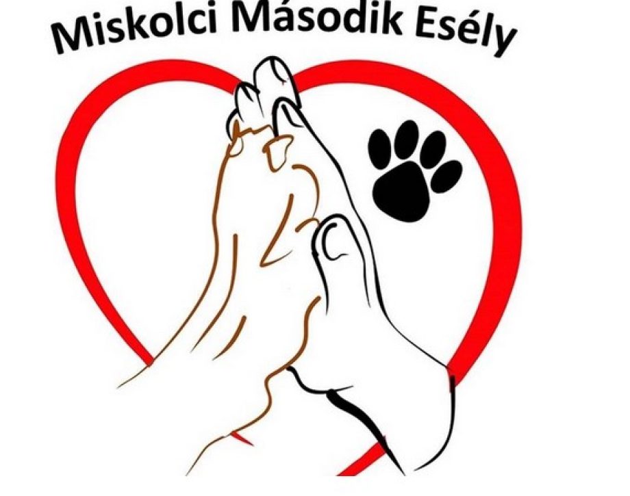 állatsegítők