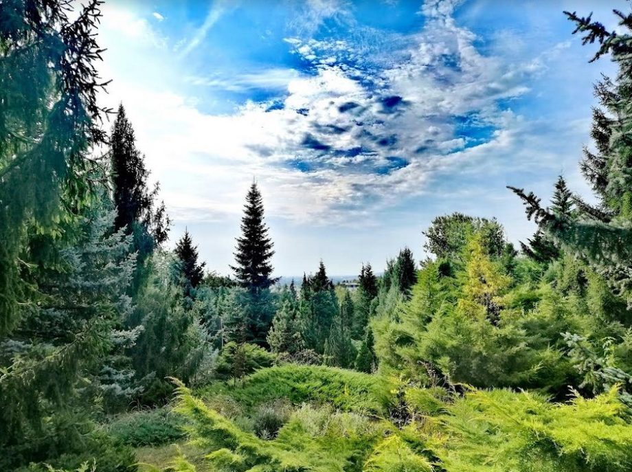 arborétum
