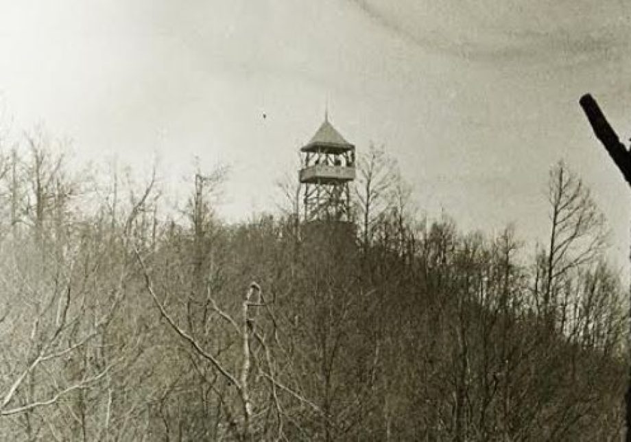 bölcsőhegy1