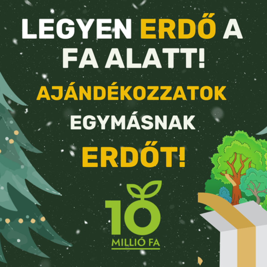 erdő