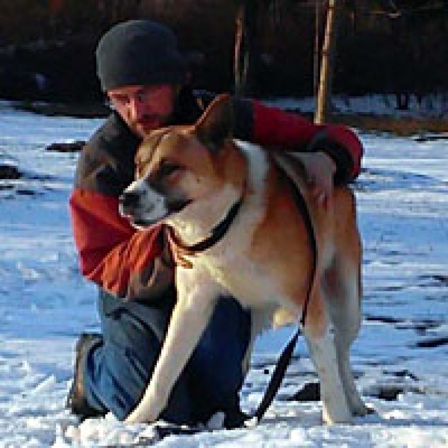 fotosgomb-befogadas-kiadas