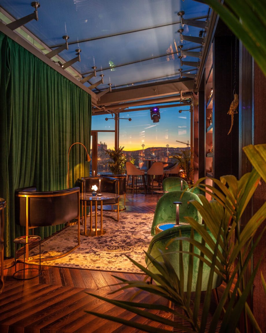 golden_peacock_3-819x1024