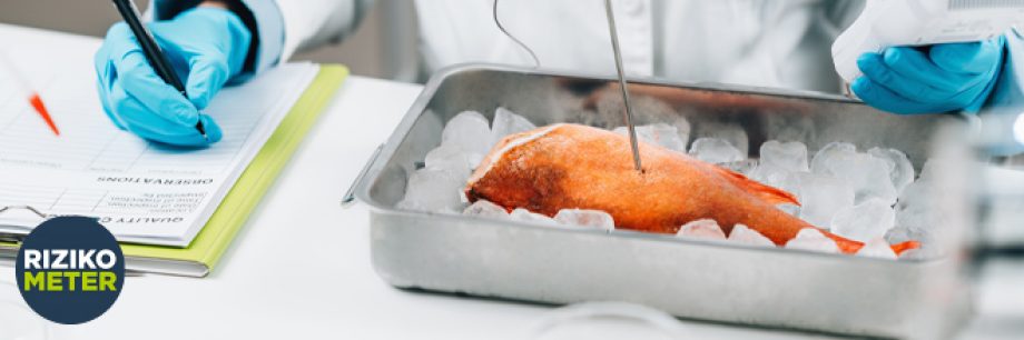 Young pregnant woman with ice cream bucket sitting on sofa at home, closeup
