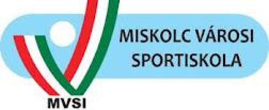 mvsi-logo