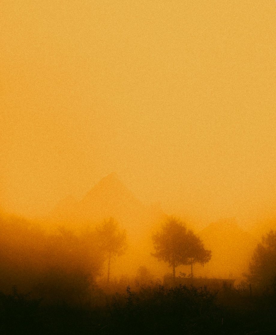 pexels-photo-14288904