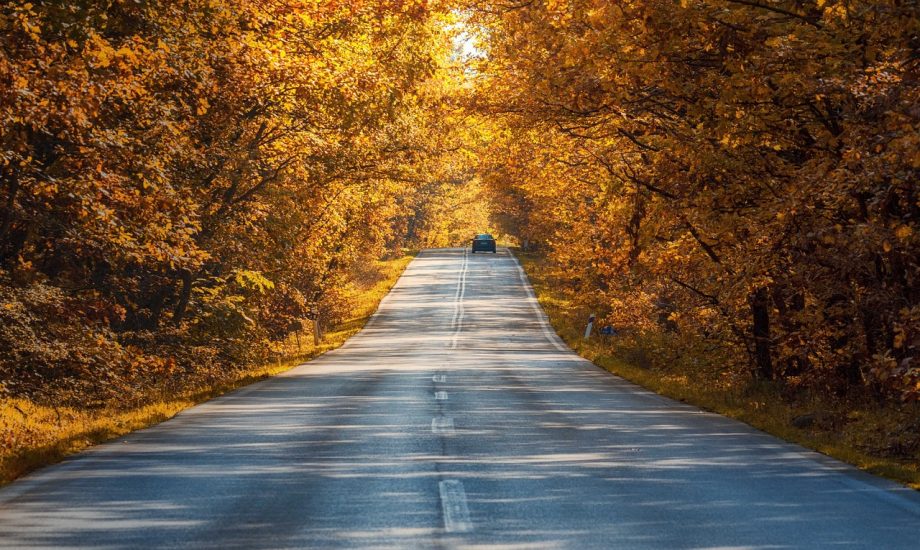 road-4655176_1280