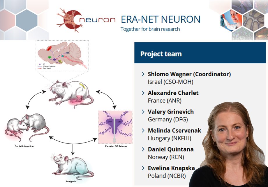 tarsas-kapcsolataink-is-befolyasoljak-a-fajdalomerzekelesunket-8202