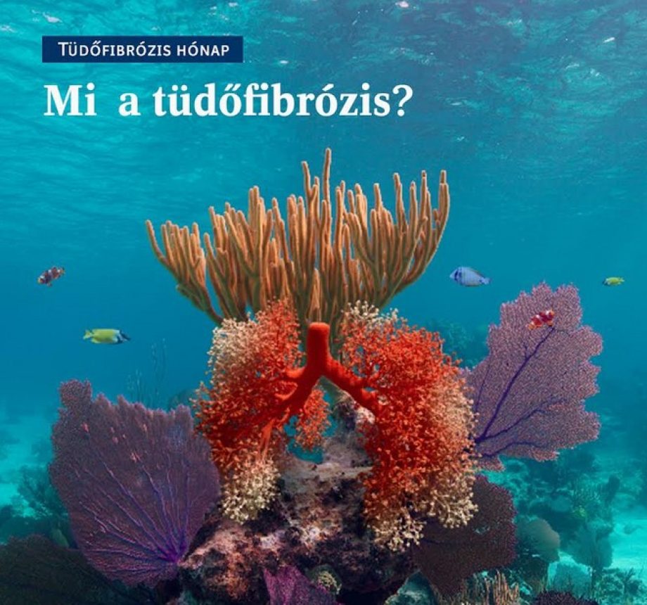 tüdőfibrózis