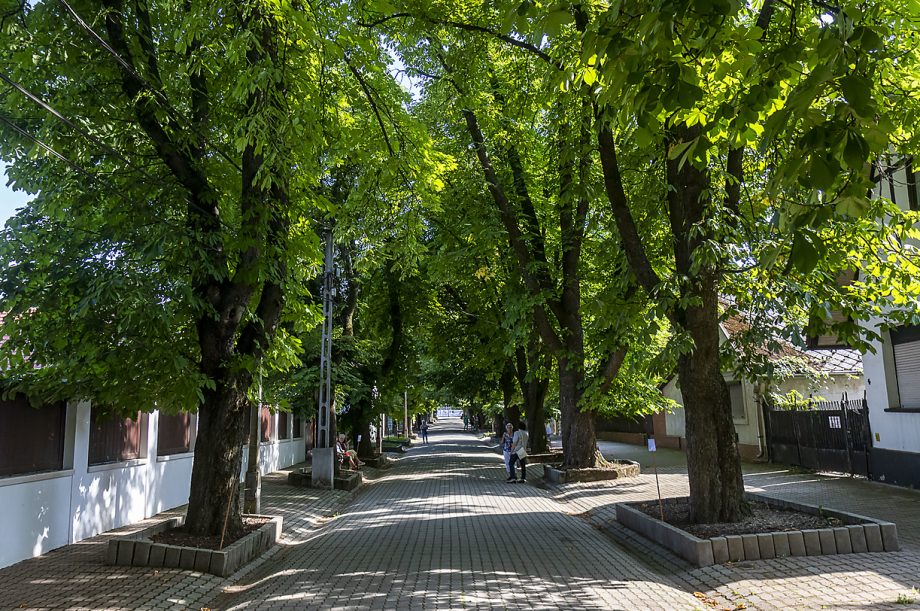 var-utcai-fasor_20220616_bl_web_007