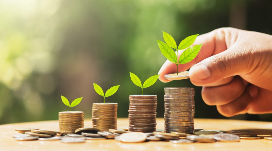 hand putting coins on stack with plant growing on money . concept finance and accounting