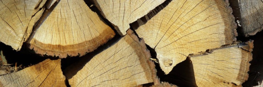 wood-660x220